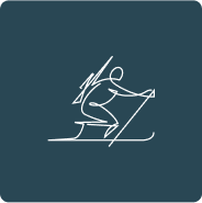 Para-Biathlon Icon