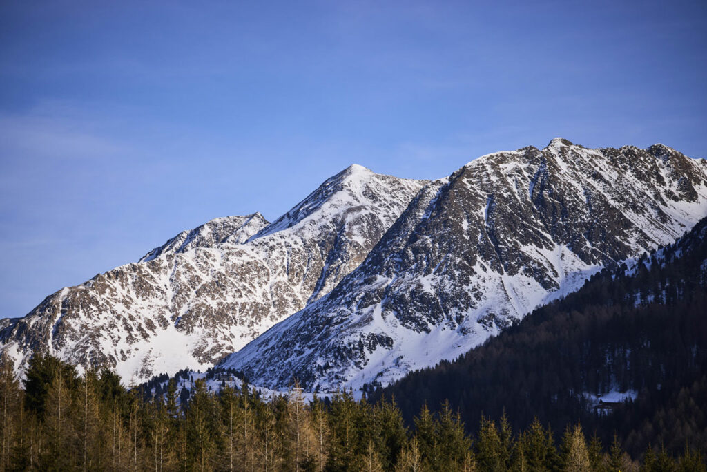 Schneebedeckte Berggipfel bei Antholz ragen majestätisch vor klarem blauen Himmel auf. Im Vordergrund ist ein dichter Nadelwald zu sehen, der die alpine Winterlandschaft abrundet.